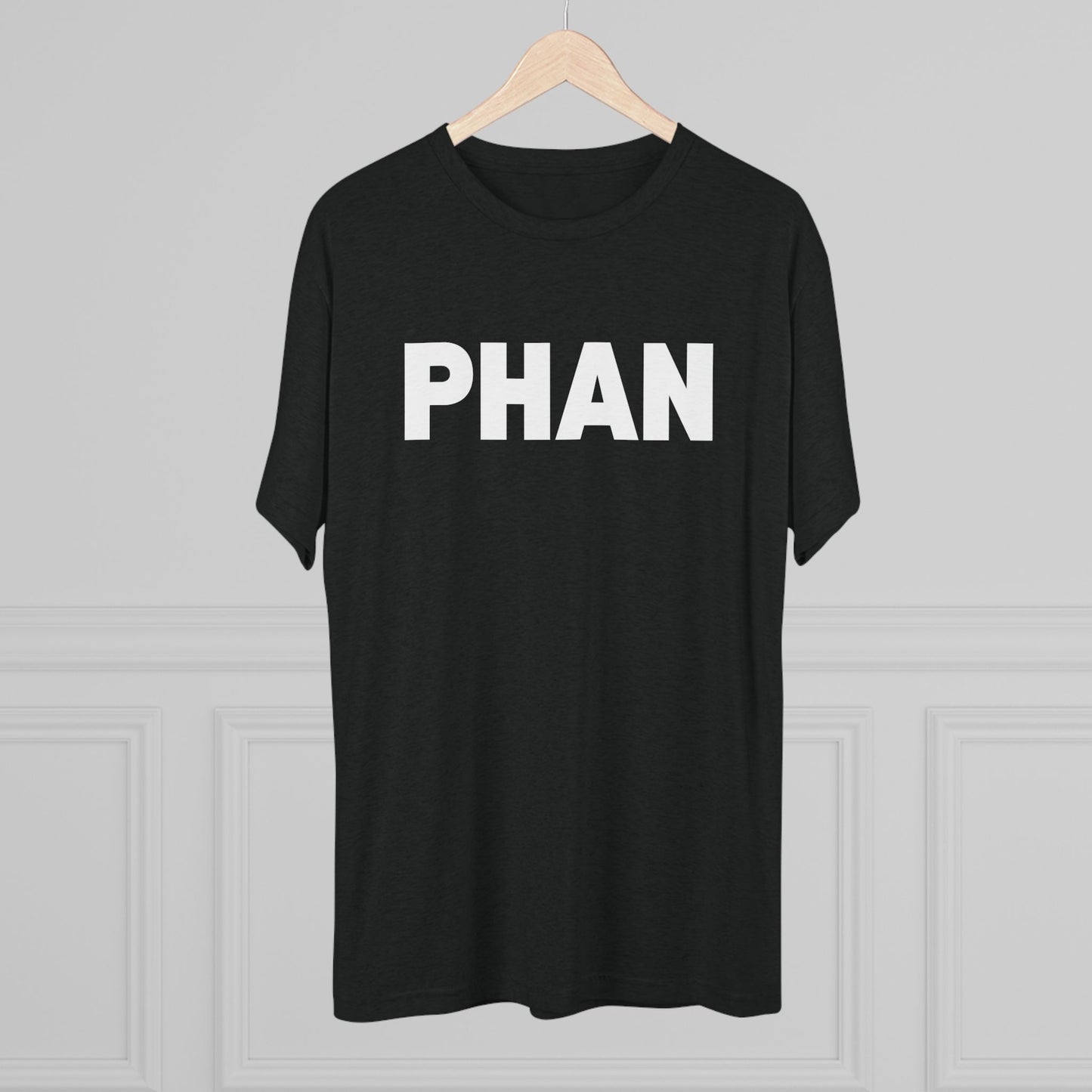 Phish T-shirt | PHAN | Lot & Concert Tee