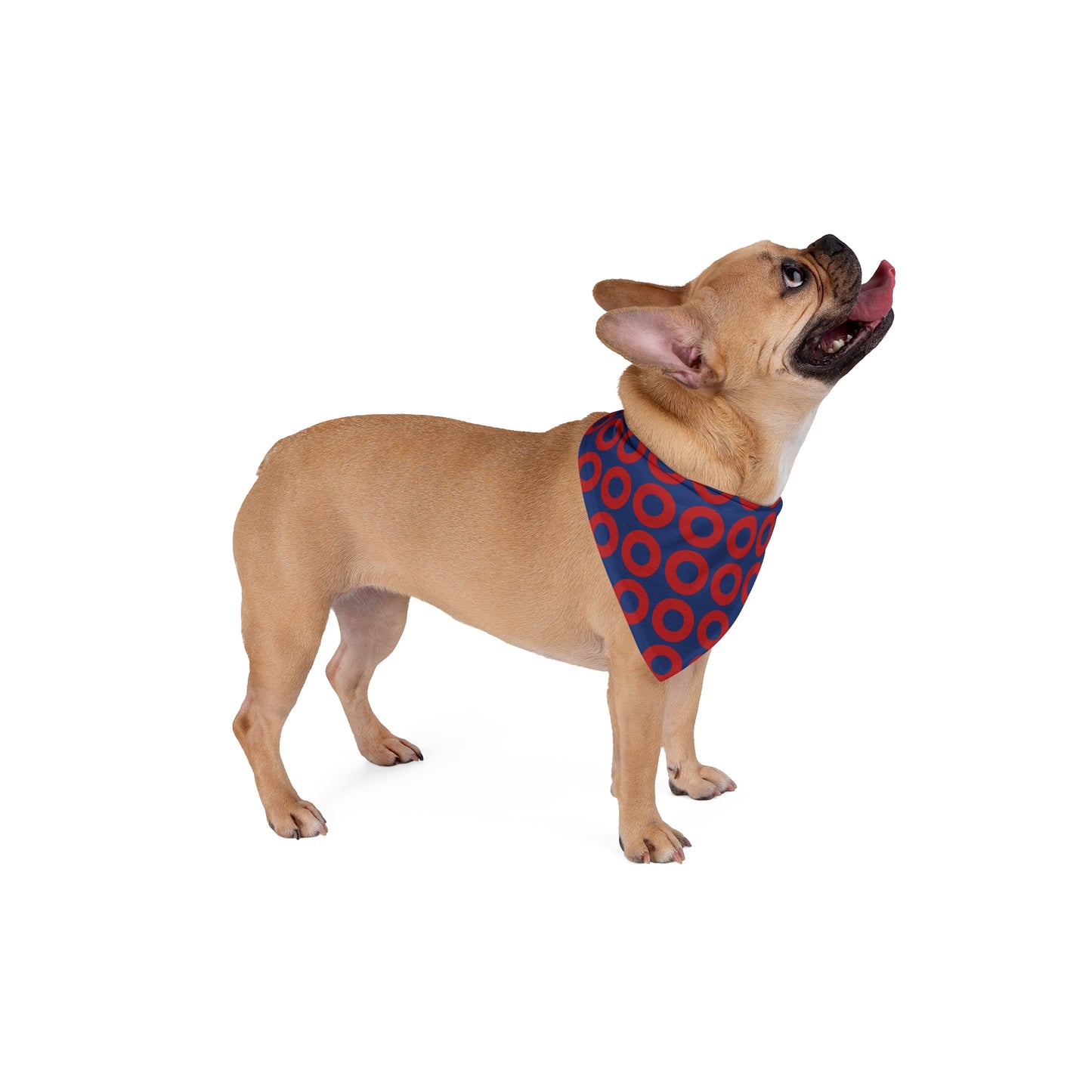 Fishman Donut Pet Bandana | 2 sizes